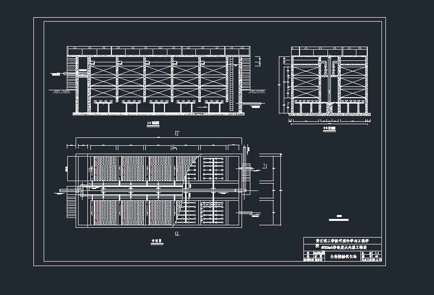 |cadD